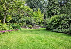 Optimiser l'expérience du jardin à Courcelles-sur-Aire